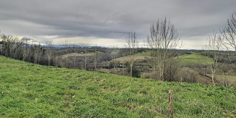 terrain à LAGOR (64150)