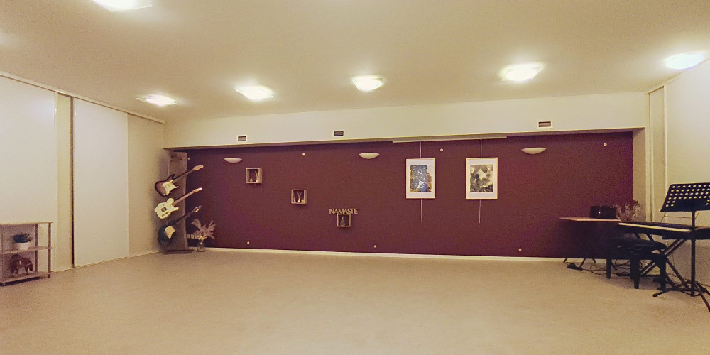 local commercial à PAU (64000)