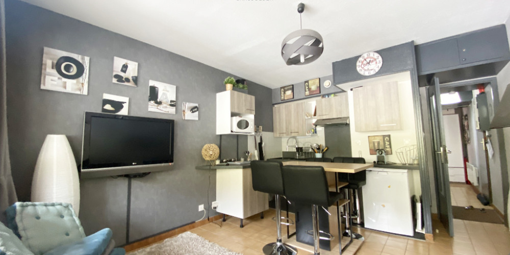 appartement à ST LARY SOULAN (65170)