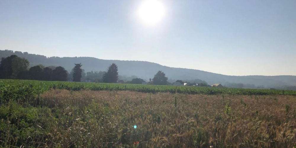 terrain à ANGAIS (64510)