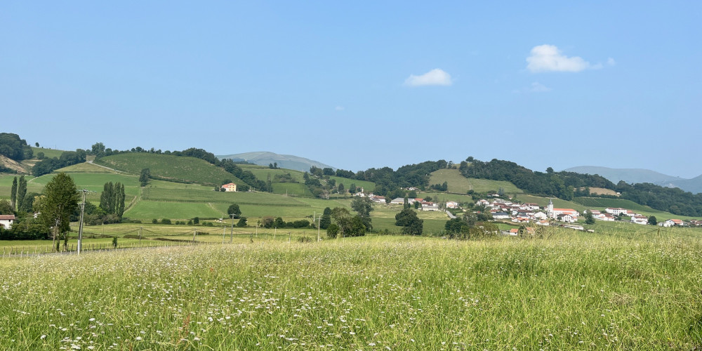 terrain à JAXU (64220)