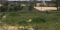 terrain à SERRES MORLAAS (64160)