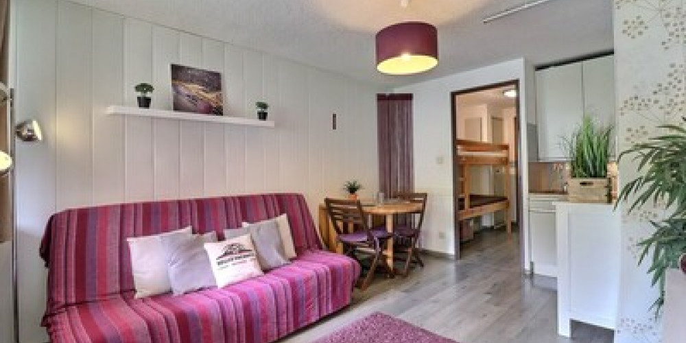 appartement à ST LARY SOULAN (65170)