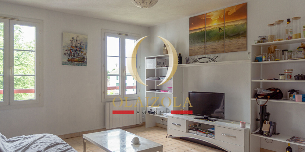 appartement à ST PEE SUR NIVELLE (64310)