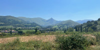 terrain à LECUMBERRY (64220)