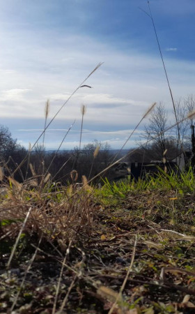 Terrain  SERRES CASTET