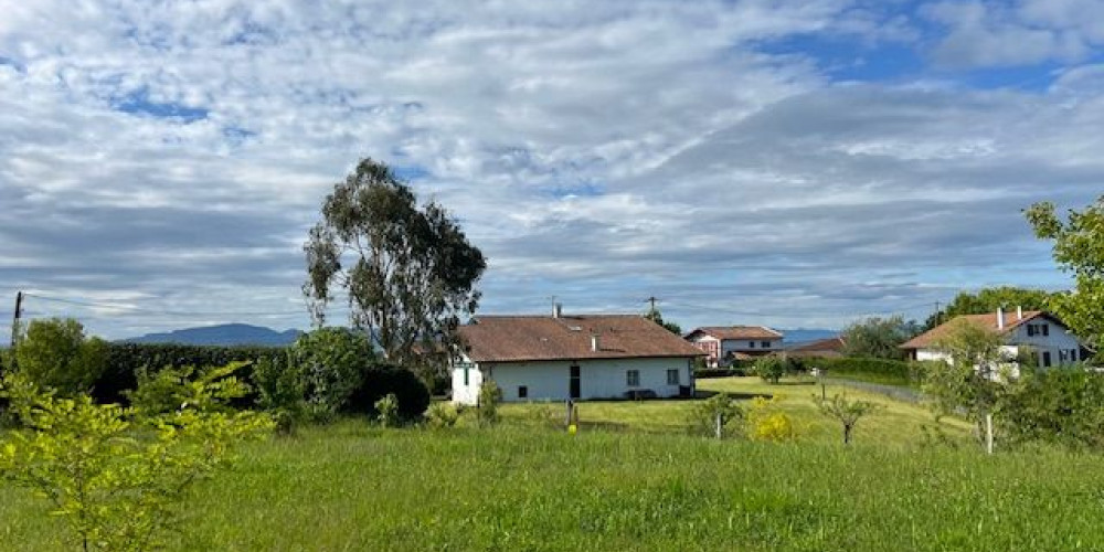 terrain à ST PIERRE D IRUBE (64990)