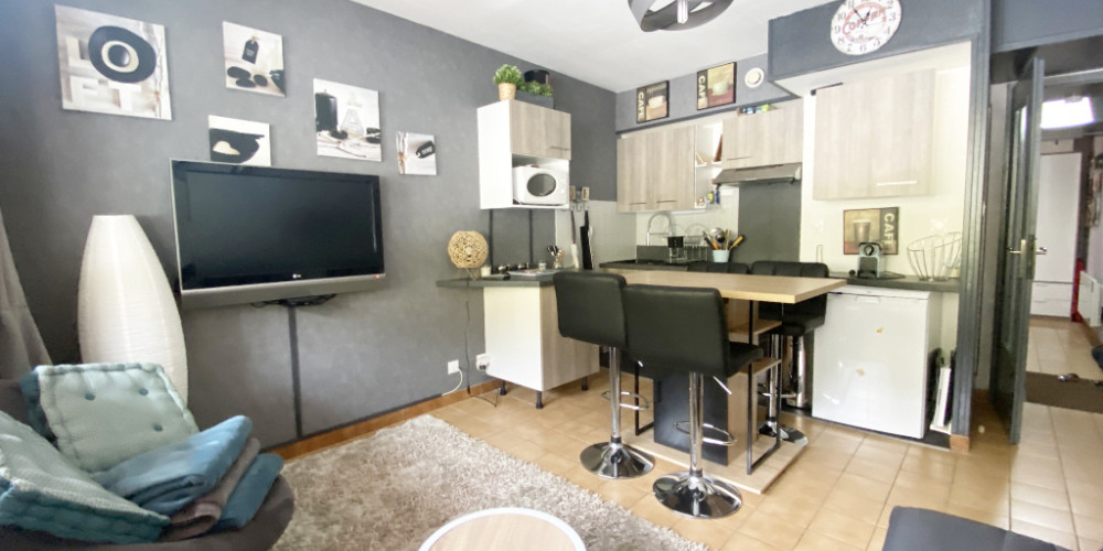appartement à ST LARY SOULAN (65170)