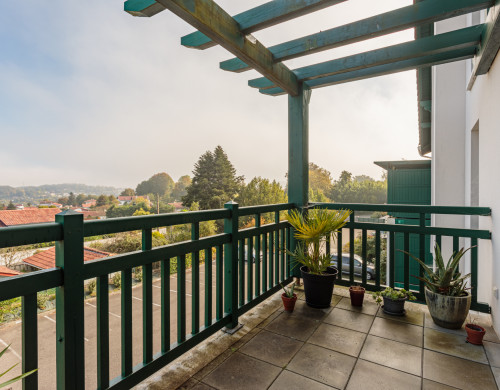 appartement  ST PIERRE D IRUBE