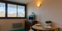 appartement à ST LARY SOULAN (65170)
