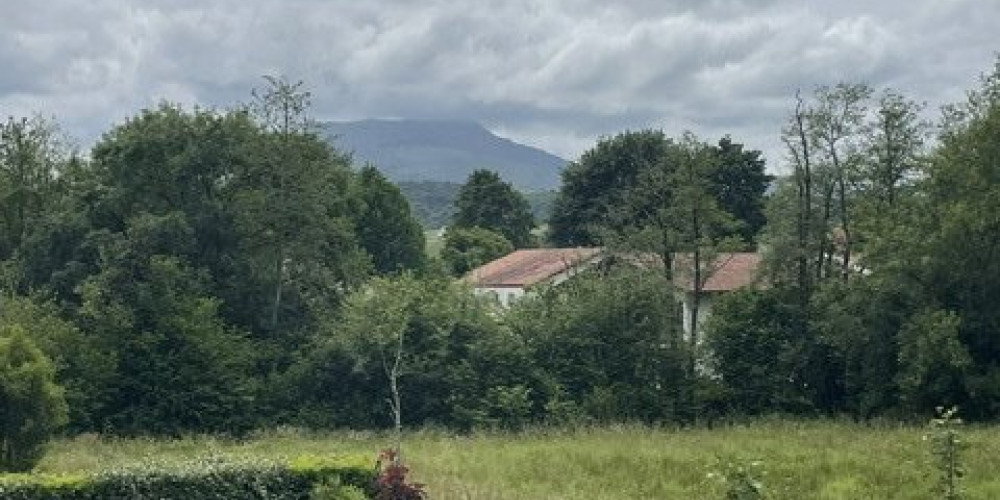 appartement à ST PEE SUR NIVELLE (64310)