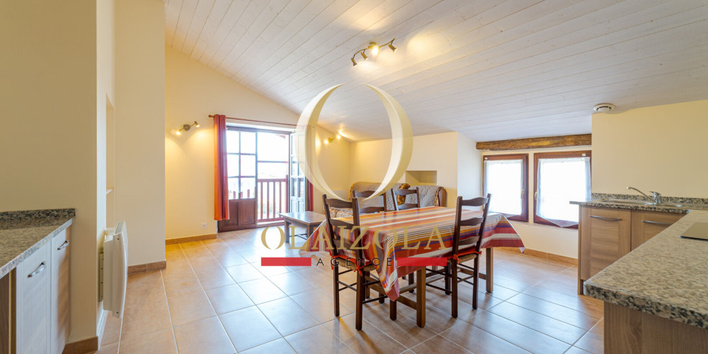 appartement à SARE (64310)