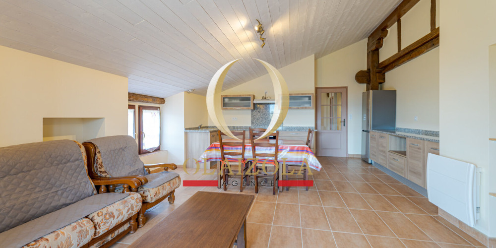 appartement à SARE (64310)