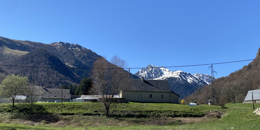 appartement à CAMPAN (65710)