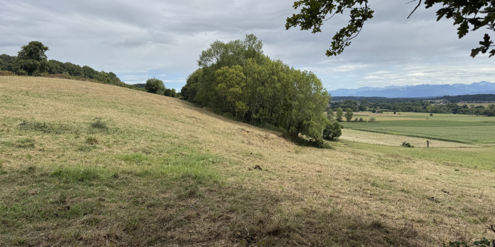 maison à OSSENX (64190)