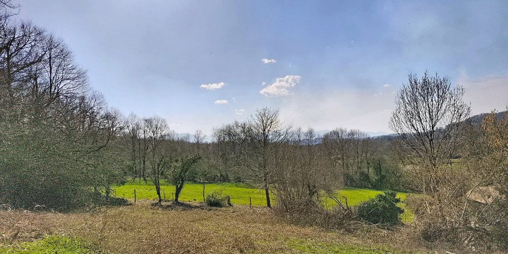 maison à NAY (64800)