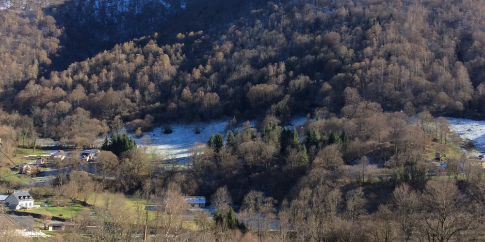 maison à ESTAING (65400)