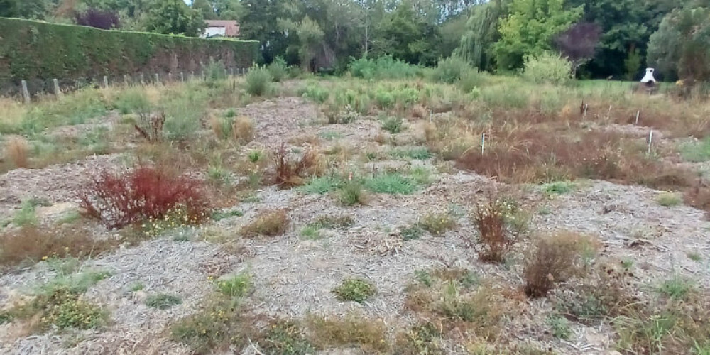 terrain à BIDART (64210)
