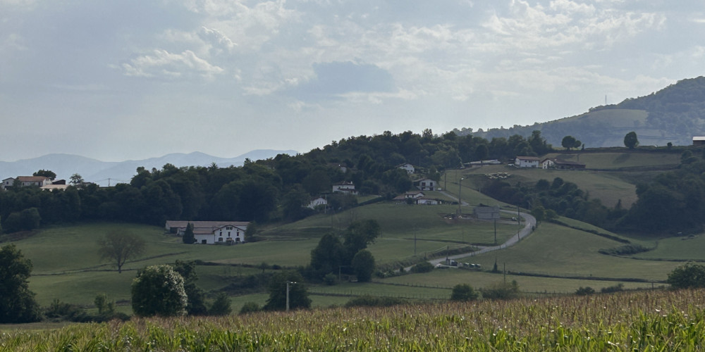 terrain à JAXU (64220)