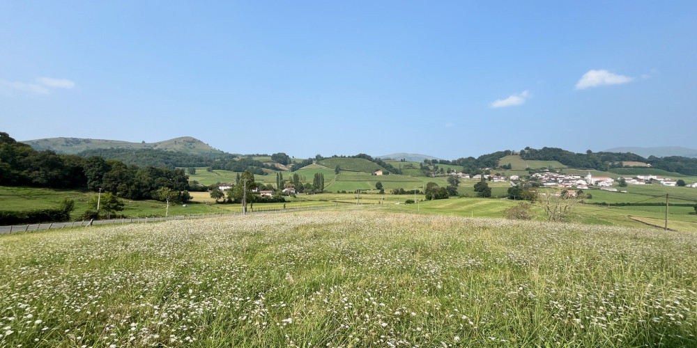 terrain à JAXU (64220)