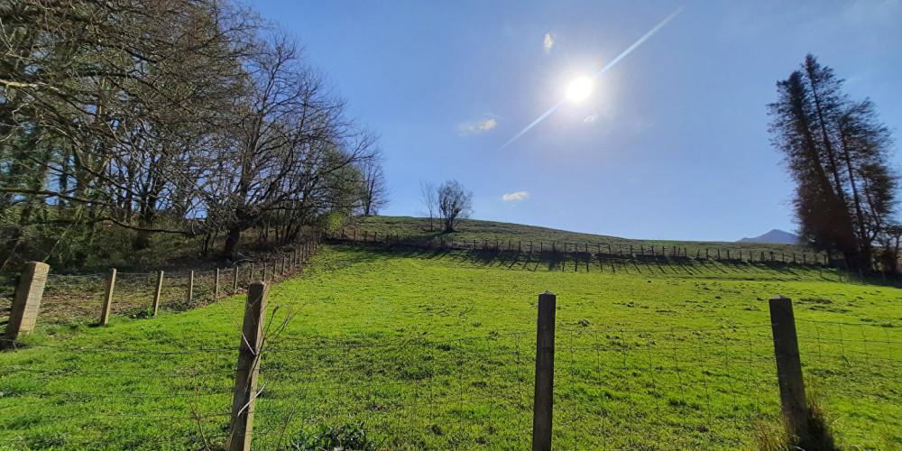 terrain à SARE (64310)