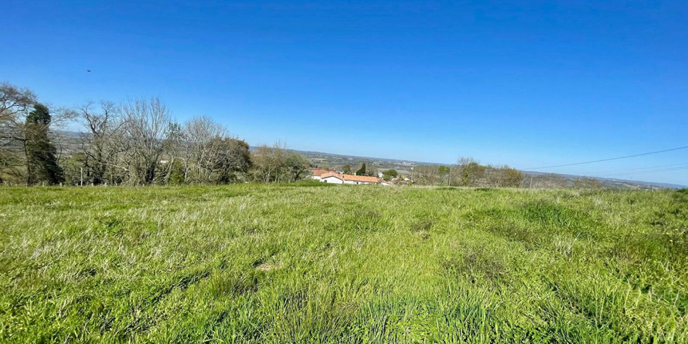 terrain à BIDACHE (64520)