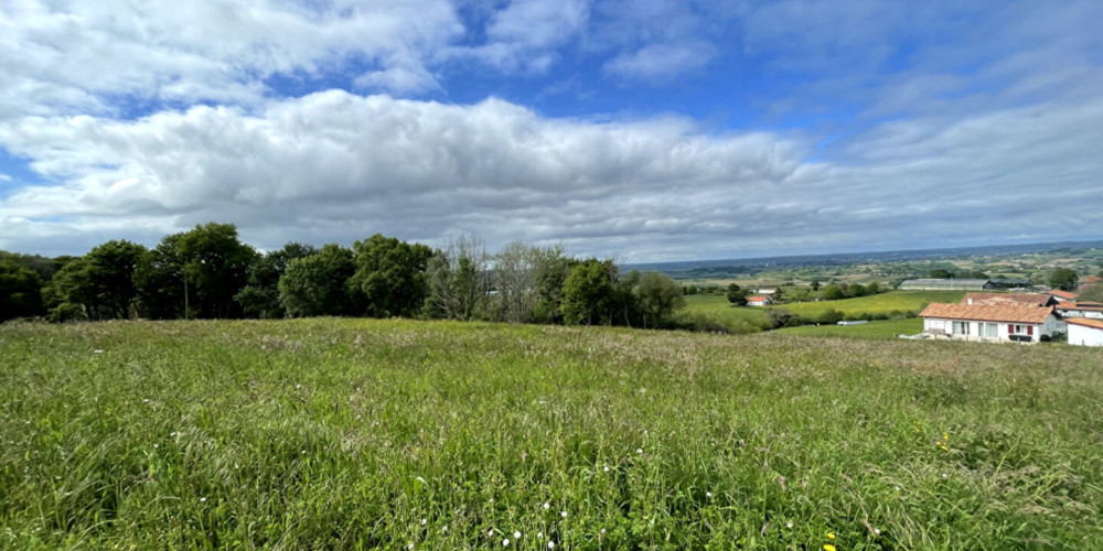terrain à BIDACHE (64520)