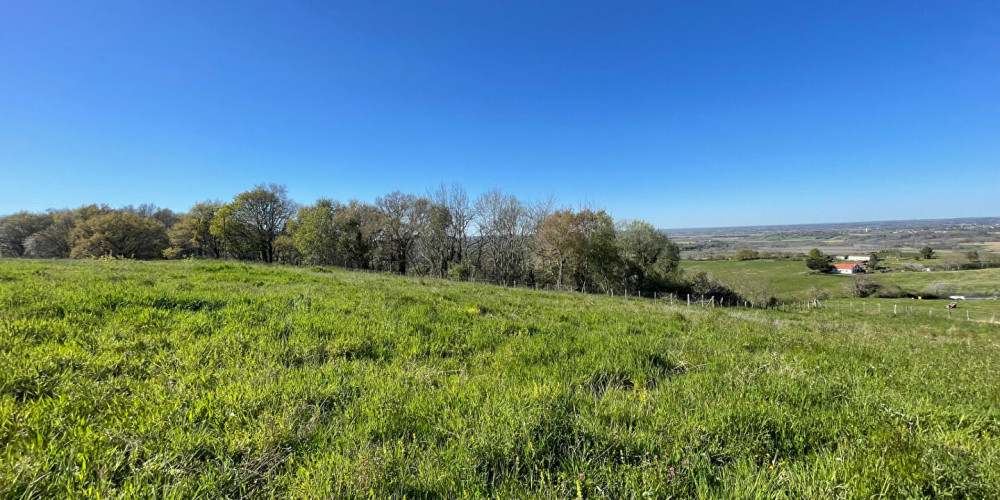 terrain à BIDACHE (64520)