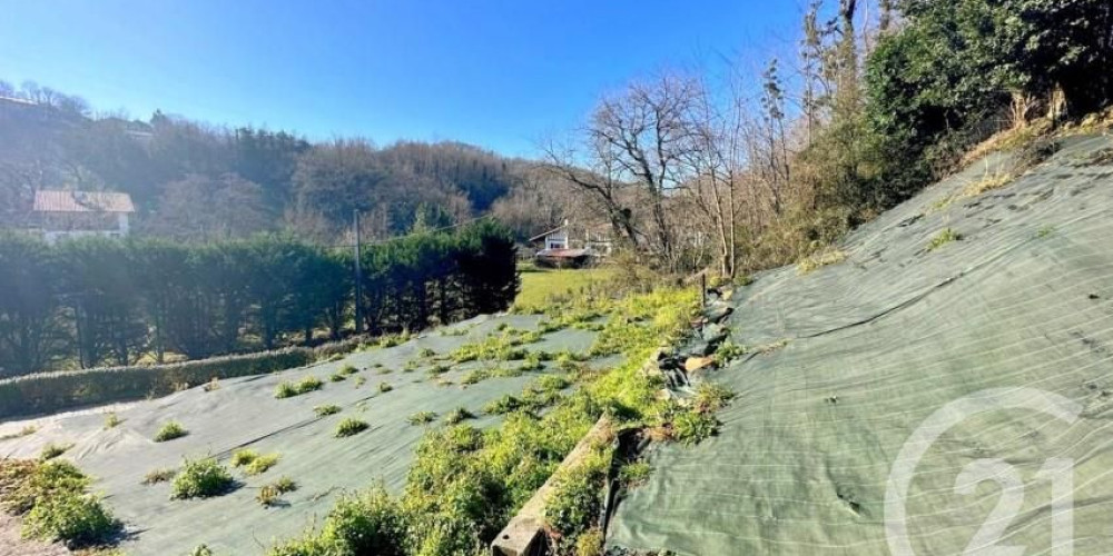 terrain à BIRIATOU (64700)
