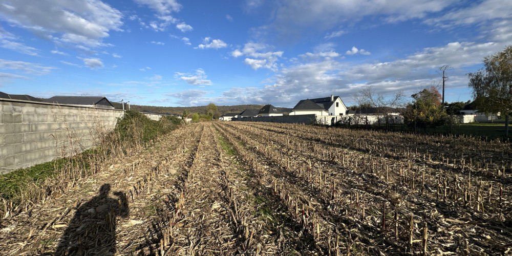 terrain à BEUSTE (64800)