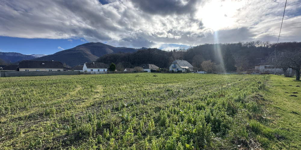 terrain à MONTAUT (64800)