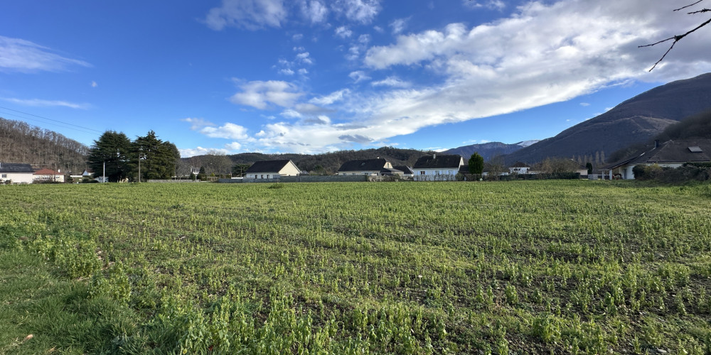 terrain à MONTAUT (64800)