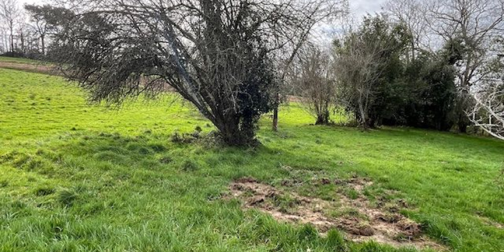 terrain à MOUGUERRE (64990)