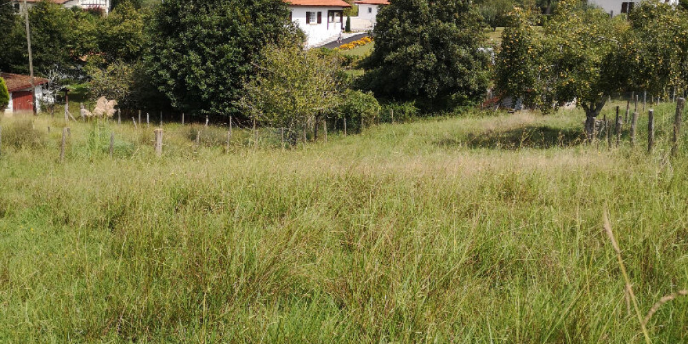 terrain à URCUIT (64990)