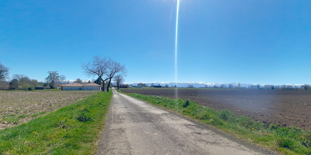 terrain à LUQUET (65320)