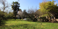 maison à MIREPEIX (64800)