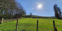 terrain à SARE (64310)