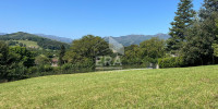 terrain à IRISSARRY (64780)