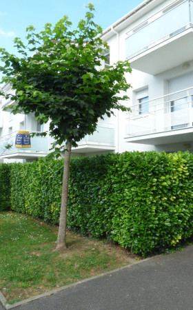 Appartement  PAU