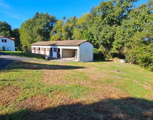 terrain  ST PEE SUR NIVELLE