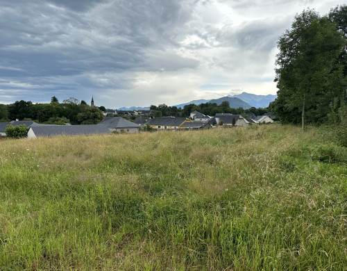 terrain  POUEYFERRE