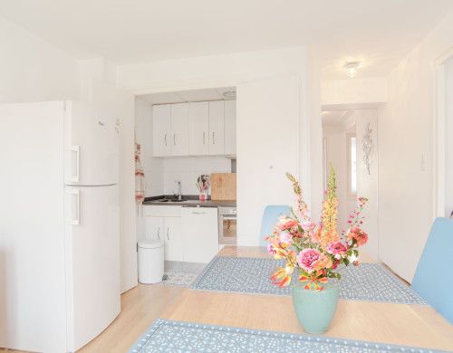 appartement  HENDAYE