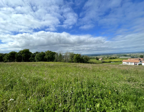 terrain  BIDACHE