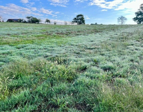 terrain  RAMOUS
