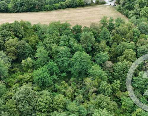 terrain  SALIES DE BEARN