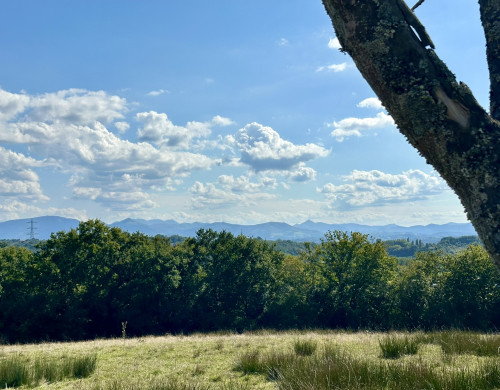 maison  ST PIERRE D IRUBE